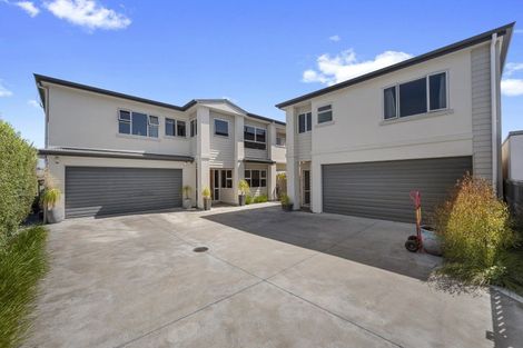 Photo of property in 24a Alpers Terrace, Marewa, Napier, 4110