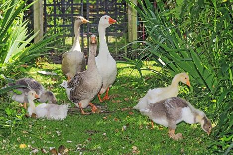 Photo of property in 37 Gillies Crescent, Waimarama, Havelock North, 4294