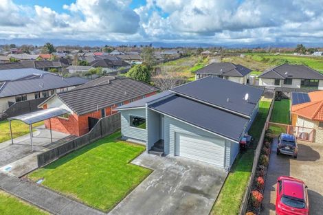 Photo of property in 39 Benner Drive, Ngatea, 3503