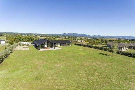Photo of property in 423b Youngson Road, Whakamarama, Tauranga, 3179