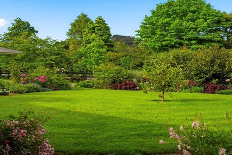 Photo of property in 41 Walmsley Road, Waihi, 3610