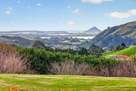 Photo of property in 157e Kaiate Falls Road, Waitao, Tauranga, 3175