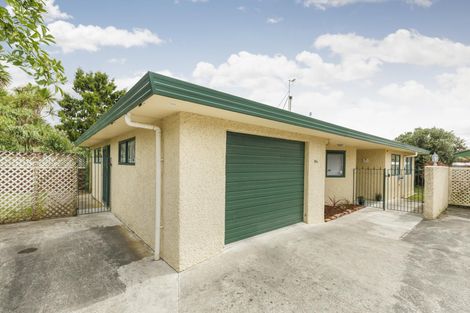 Photo of property in 24a Windsor Street, Terrace End, Palmerston North, 4410