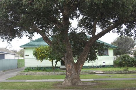 Photo of property in 46 Williams Street, Marewa, Napier, 4110