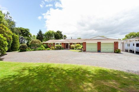 Photo of property in 113 Domain Road, Putaruru, 3482