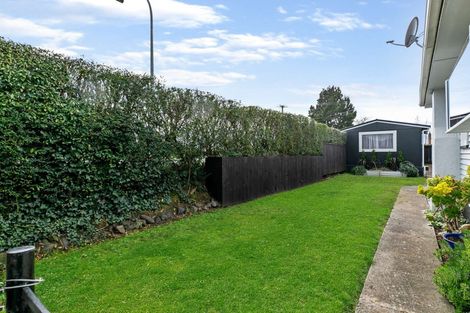 Photo of property in 169 Studholme Street, Morrinsville, 3300