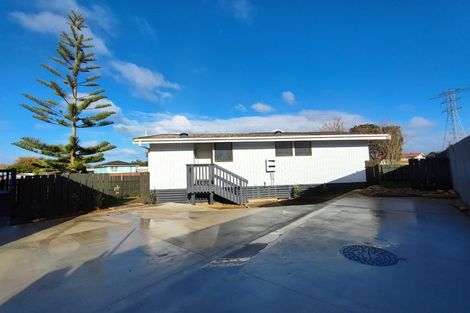 Photo of property in 9 Lachlan Place, Favona, Auckland, 2024