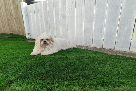 Photo of property in 4 Turkington Street, Tawa, Wellington, 5028