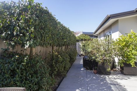 Photo of property in 5a Dovedale Avenue, Ilam, Christchurch, 8041