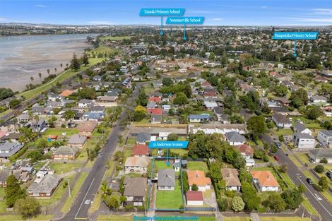 Photo of property in 51 Anderson Avenue, Point England, Auckland, 1072