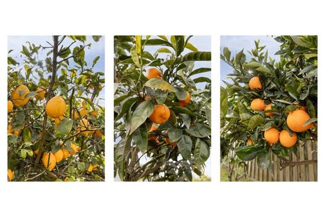 Photo of property in 23 Rata Street, Whakatane, 3120