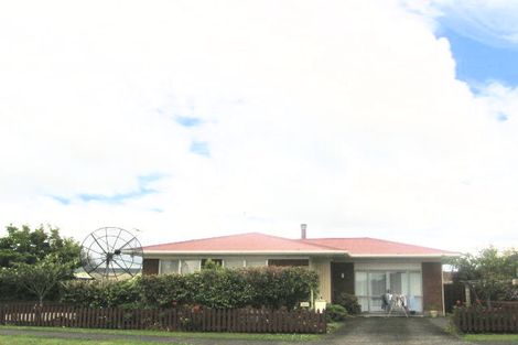 Photo of property in 182 Victoria Street West, Pukekohe, 2120