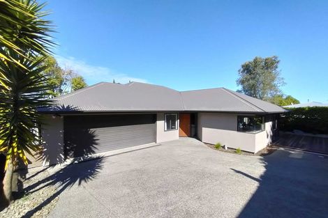 Photo of property in 25a Weston Avenue, Roslyn, Palmerston North, 4414