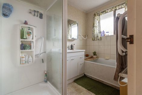 Photo of property in 4 Mcarthur Street, Terrace End, Palmerston North, 4410