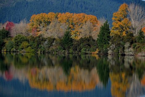 Photo of property in 12 Forest View Road, Whakamaru, Mangakino, 3492