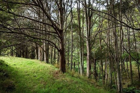 Photo of property in 590 Ngunguru Ford Road, Kiripaka, Whangarei, 0173