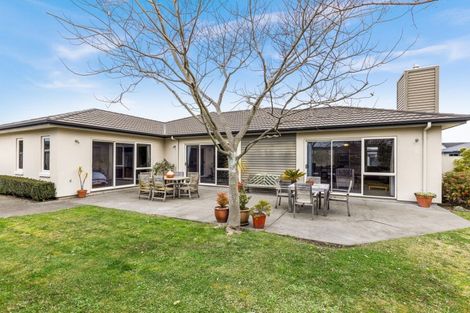 Photo of property in 24 Merlot Drive, Greenmeadows, Napier, 4112