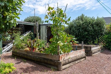 Photo of property in 74 Titoki Street, Lansdowne, Masterton, 5810