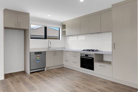 Photo of property in 42 Ladeira Place, Fitzroy, Hamilton, 3206
