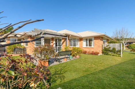 Photo of property in 124 Rowesdale Drive, Ohauiti, Tauranga, 3112