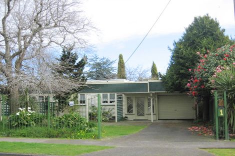 Photo of property in 1 Winchester Street, Levin, 5510