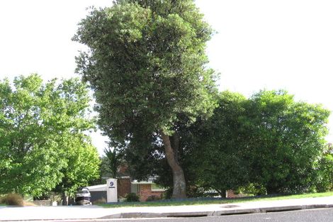 Photo of property in 9 Alton Avenue, Hillcrest, Auckland, 0627