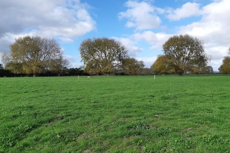 Photo of property in 372 Victoria Road, Pukemoremore, Cambridge, 3493