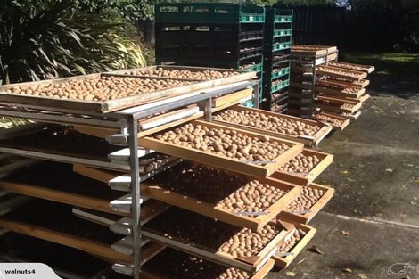 Photo of property in 556 Steffens Road, Starvation Hill, Oxford, 7495