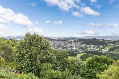 Photo of property in 97 Quebec Street, Kingston, Wellington, 6021