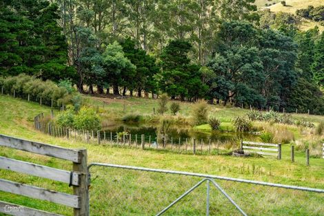 Photo of property in 814 Mikimiki Road, Mikimiki, Masterton, 5881