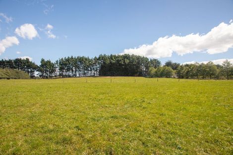 Photo of property in 185 Umutaoroa Road, Dannevirke, 4978