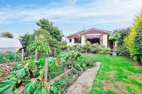 Photo of property in 395 Racecourse Road, Hargest, Invercargill, 9810