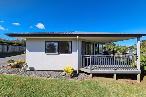 Photo of property in 20 Pagitt Street, Coromandel, 3506