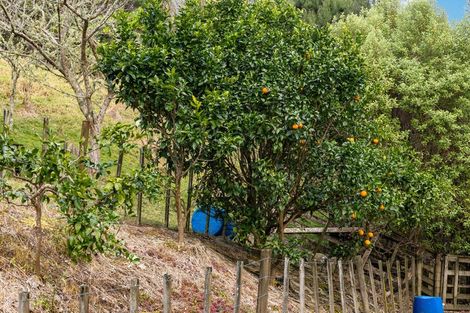 Photo of property in 260b Awaroa River Road, Abbey Caves, Whangarei, 0110