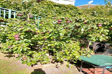 Photo of property in 154 Owen Street, Newtown, Wellington, 6021