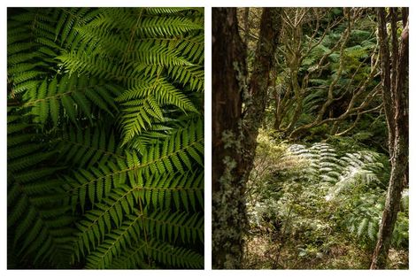 Photo of property in 49 Mangotahi Road, Thames, 3577