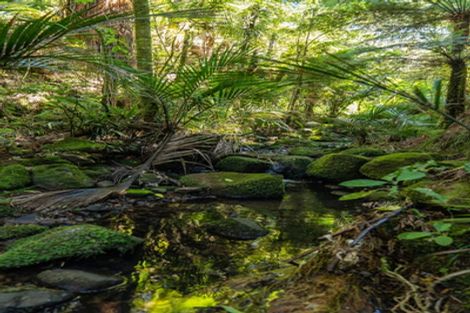 Photo of property in 16 Tarapatiki Drive, Whitianga, 3510