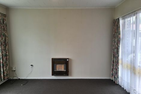 Photo of property in 217e Ruahine Street, Roslyn, Palmerston North, 4414