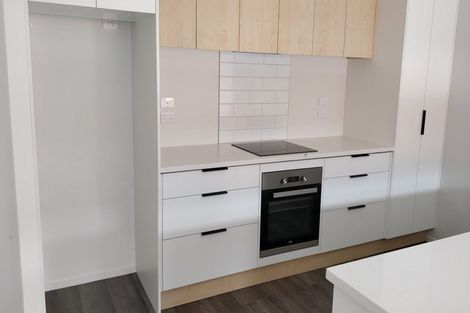 Photo of property in 11 Tupuke Lane, Horotiu, Hamilton, 3288