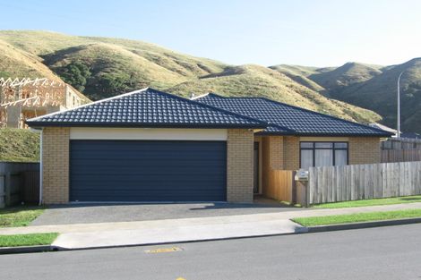 Photo of property in 81 Amesbury Drive, Churton Park, Wellington, 6037