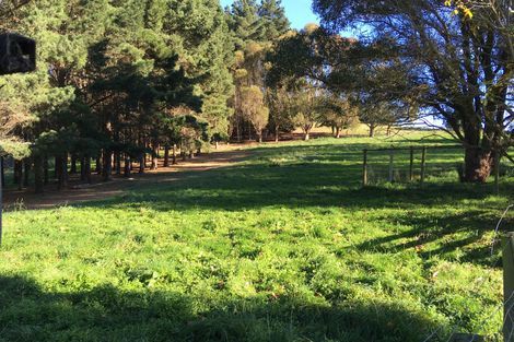 Photo of property in 1331 Waianakarua Road, Kakanui, Oamaru, 9495