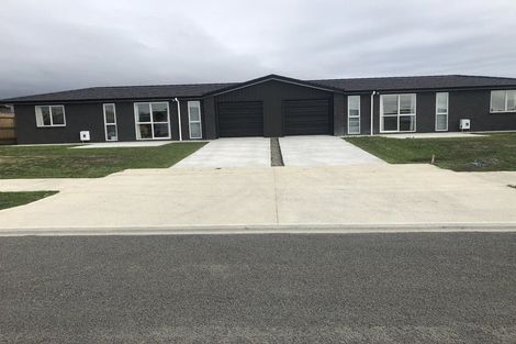 Photo of property in 87 Hinemoa Street, Levin, 5510