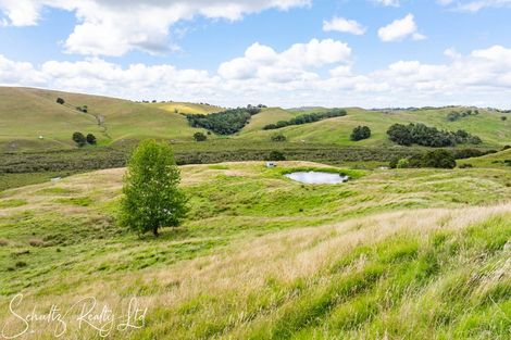 Photo of property in 215c Heatley Road, Whakapirau, 0583