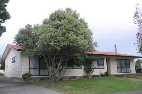 Photo of property in 3 Essex Street, Tamatea, Napier, 4112