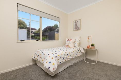 Photo of property in 34a Otumoetai Road, Judea, Tauranga, 3110