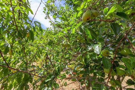 Photo of property in 185 Rahuikiri Road, Tomarata, Wellsford, 0972