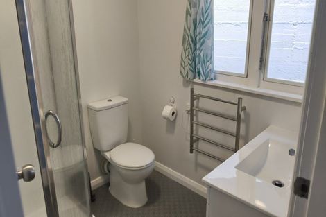 Photo of property in 156 The Esplanade, Houghton Bay, Wellington, 6023