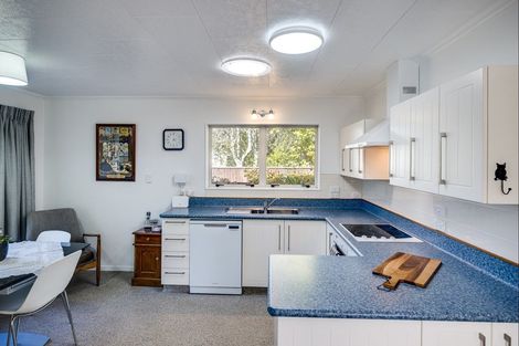 Photo of property in 57 Avenue Road, Greenmeadows, Napier, 4112