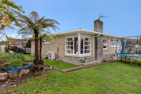 Photo of property in 17 Glen Street, Levin, 5510