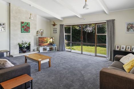 Photo of property in 58 Leefield Street, Blenheim, 7201